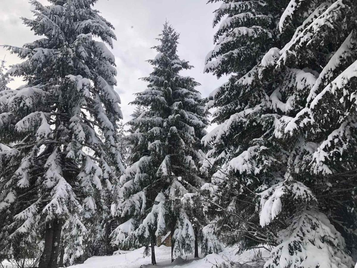 Apartman Mendrea Konjska Reka Buitenkant foto