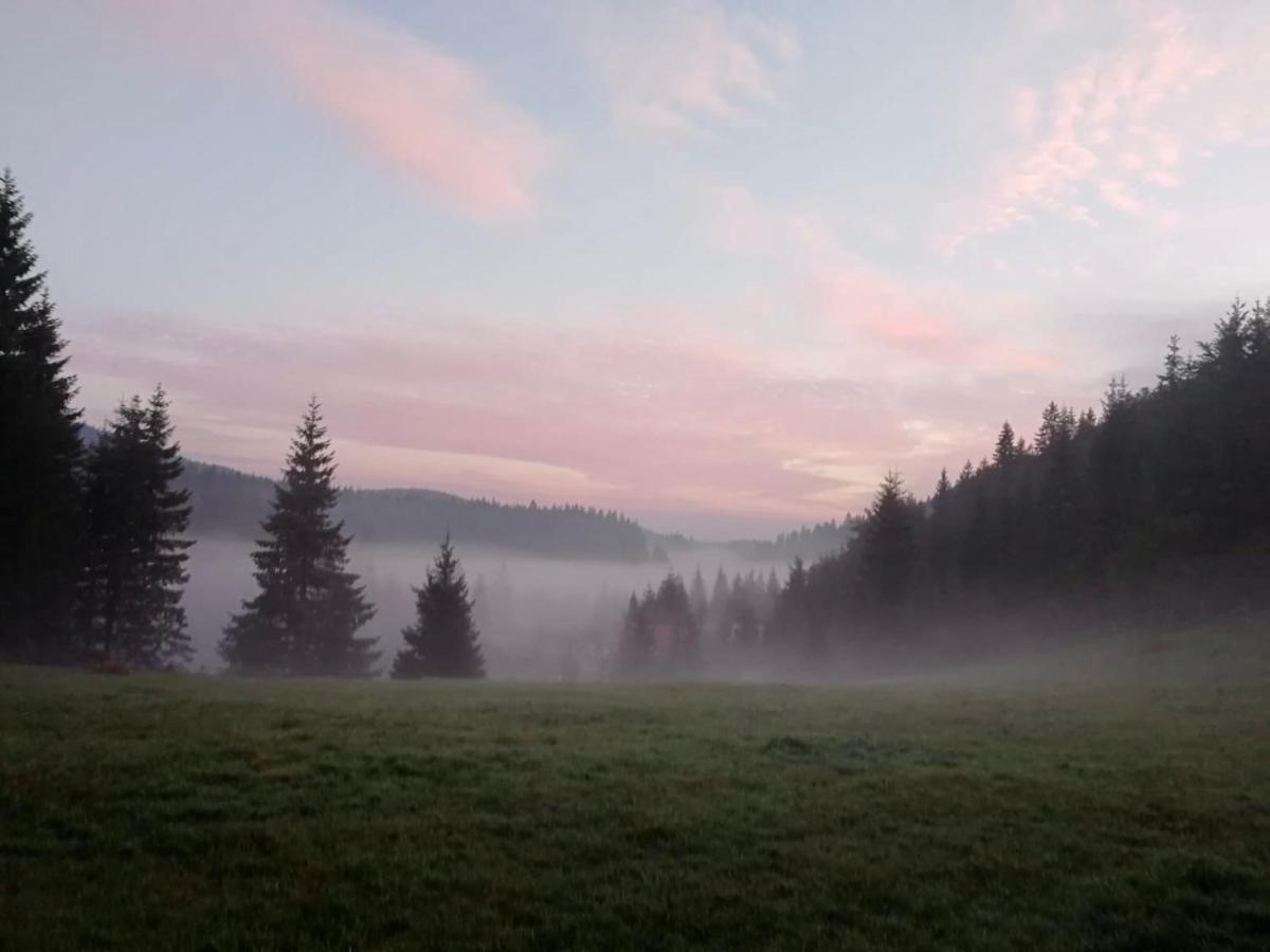 Apartman Mendrea Konjska Reka Buitenkant foto